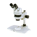 立式显微镜